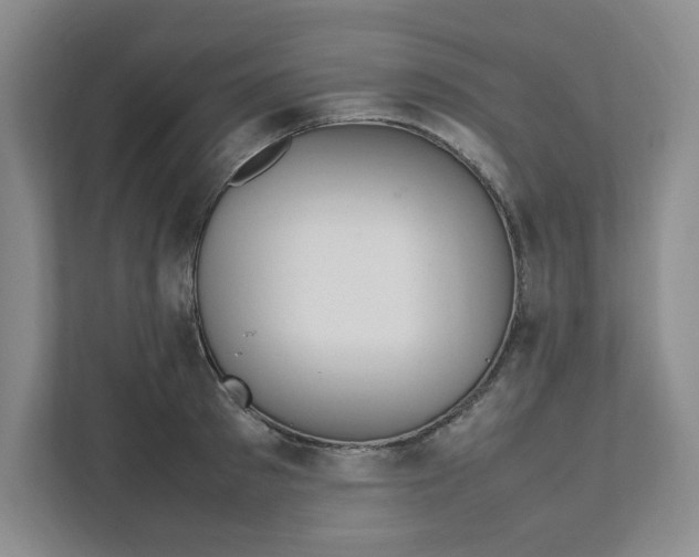 X0000111470897200908031357