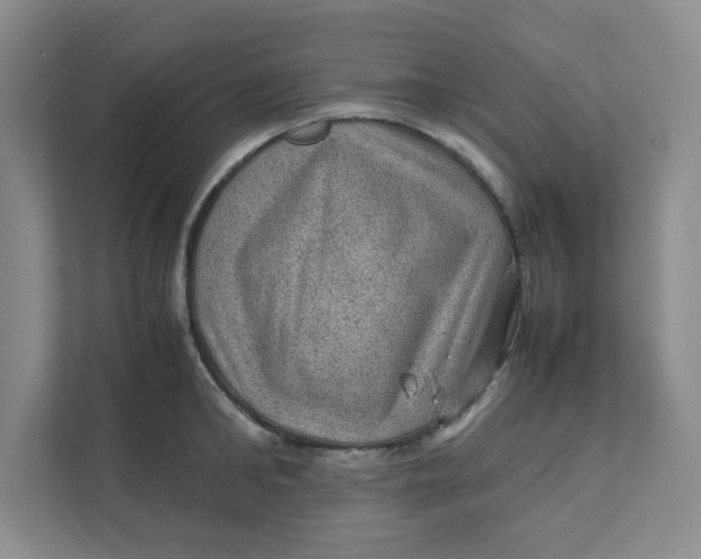 X0000111470902200908031357