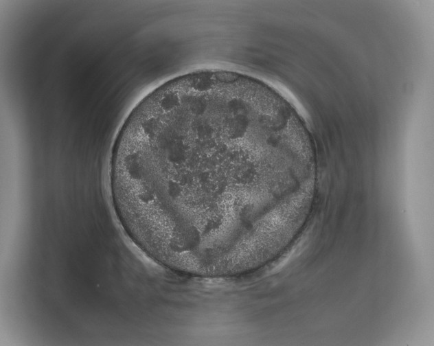 X0000111470903200908031357