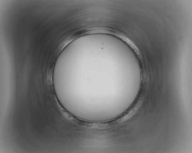 X0000111470905200908031357