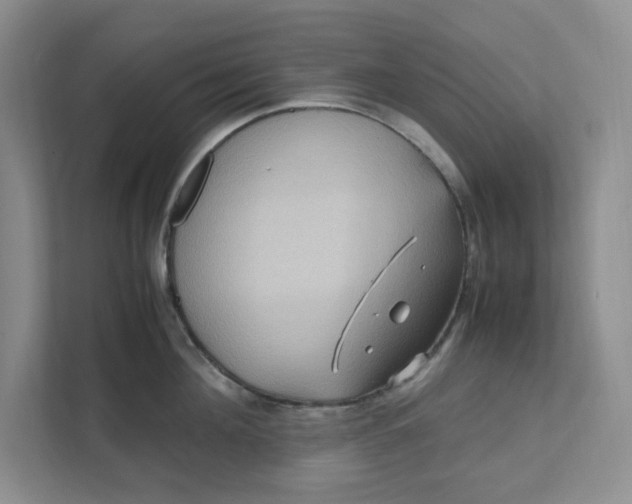 X0000111470908200908031357