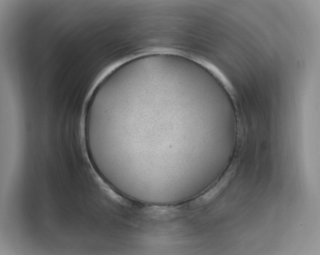 X0000111470910200908031357