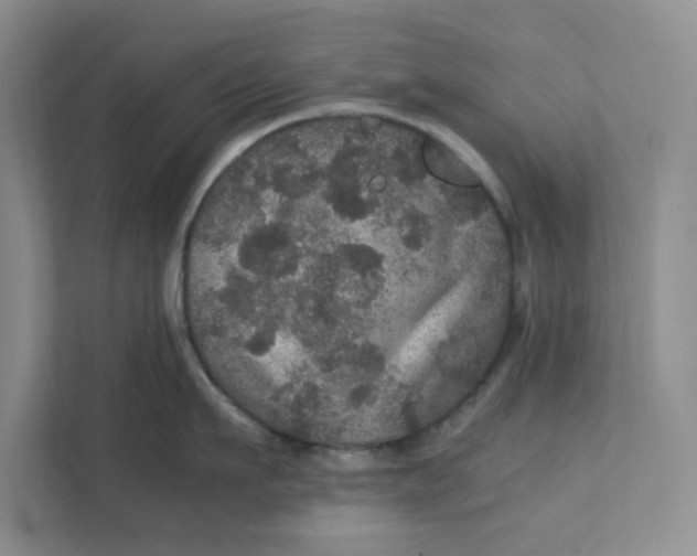 X0000111470911200908031357