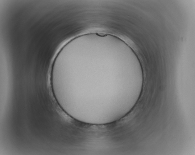 X0000111470912200908031357