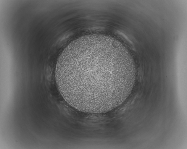 X0000111470917200908031357