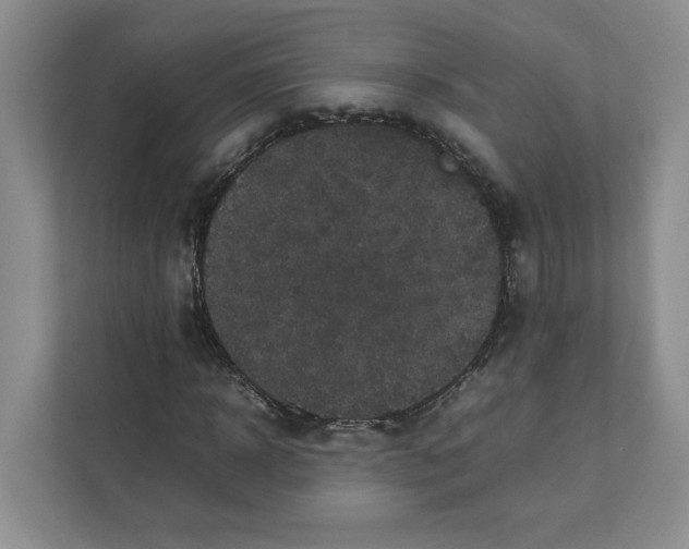 X0000111470918200908031357