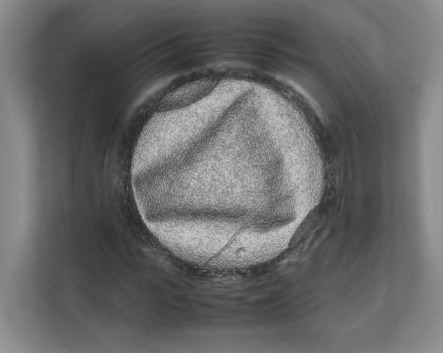 X0000111470919200908031357