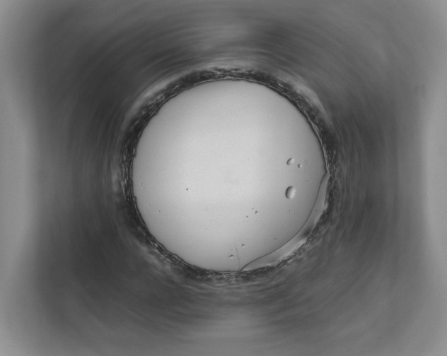 X0000111470920200908031357