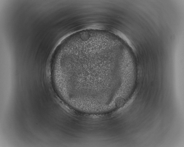 X0000111470923200908031357