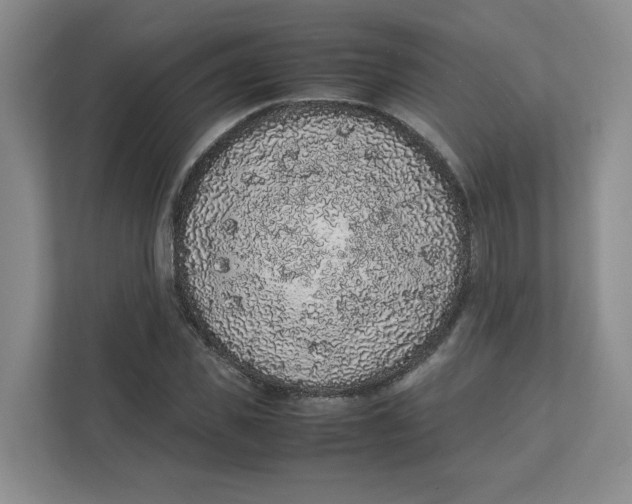 X0000111470925200908031357