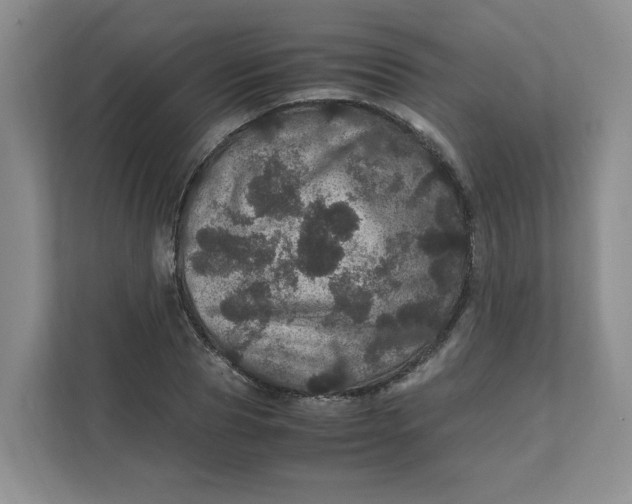 X0000111470929200908031357