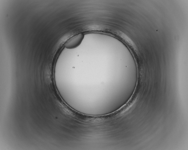 X0000111470930200908031357