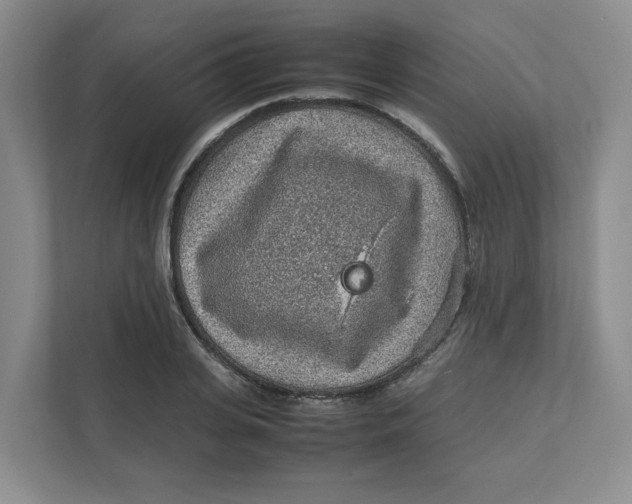 X0000111470935200908031357