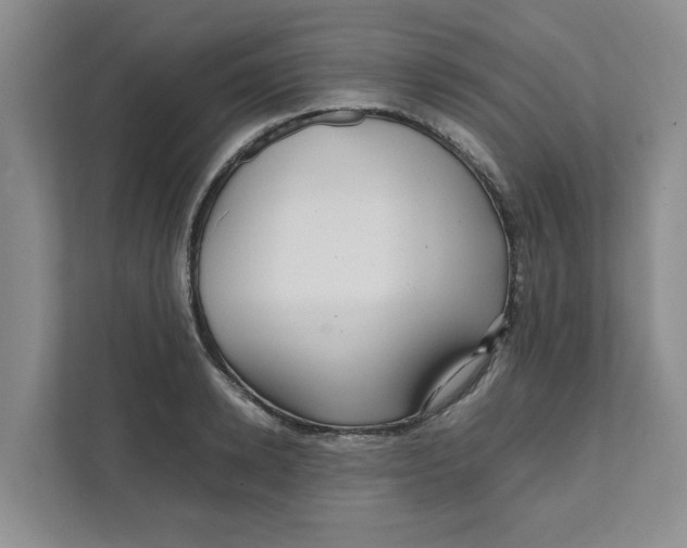 X0000111470942200908031357