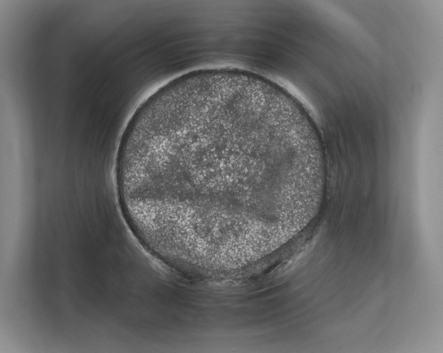 X0000111470943200908031357