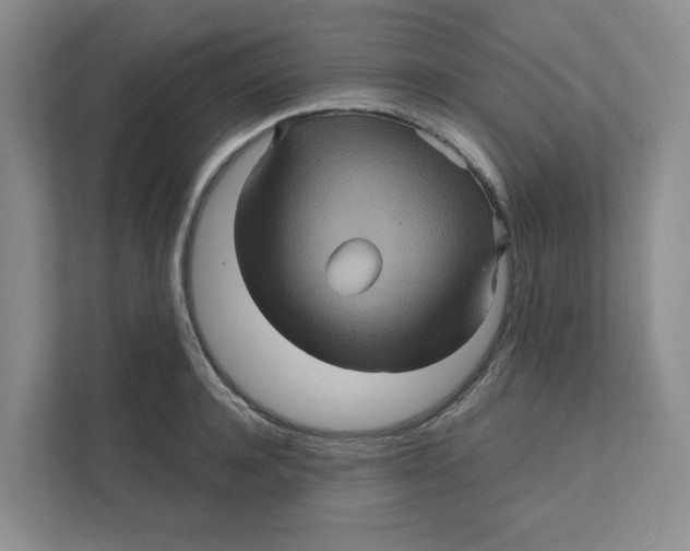 X0000111470944200908031357