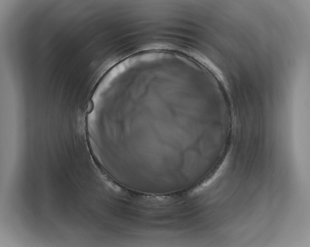 X0000111470945200908031357