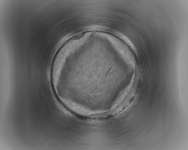 X0000111470946200908031357