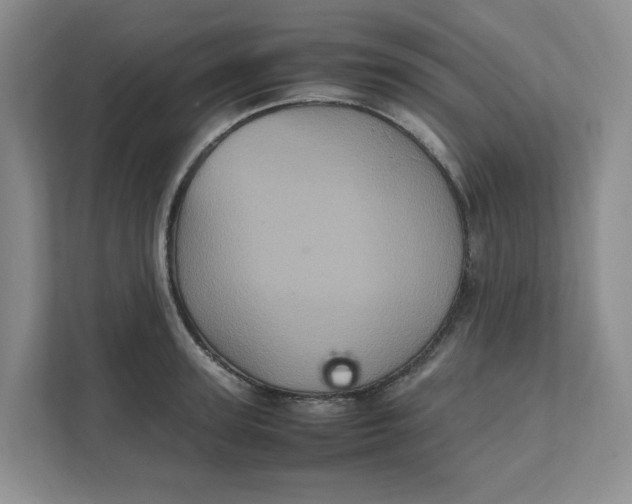 X0000111470947200908031357