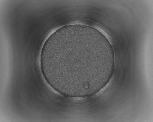 X0000111470949200908031357