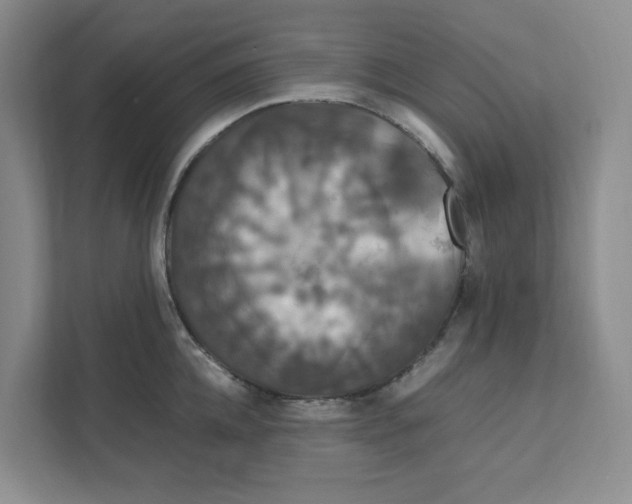 X0000111470952200908031357