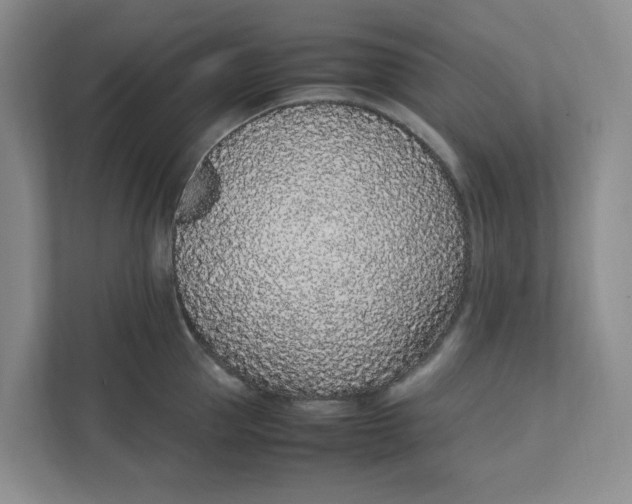 X0000111470953200908031357