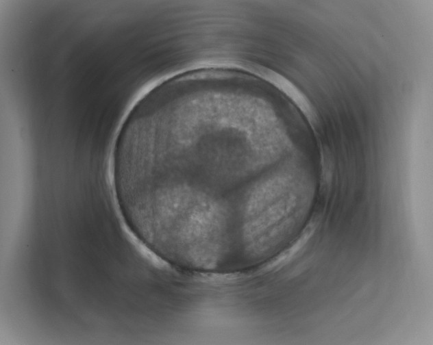 X0000111470958200908031357