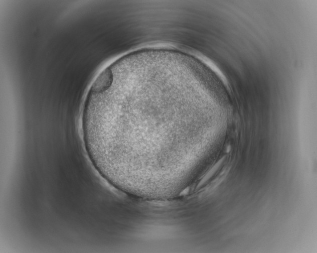 X0000111470959200908031357