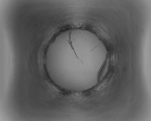 X0000111470961200908031356