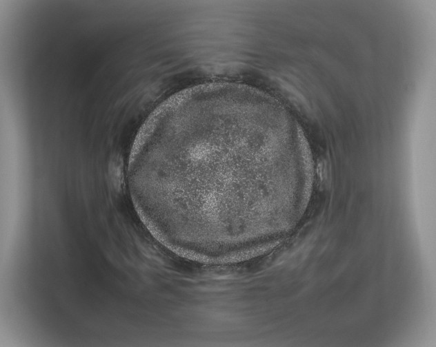 X0000111470963200908031356