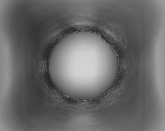 X0000111470965200908031356