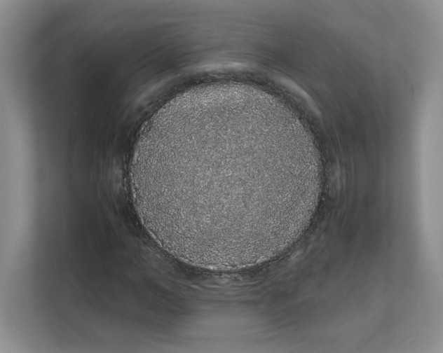 X0000111470966200908031356