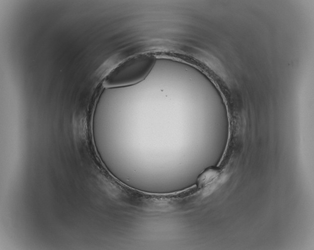 X0000111470969200908031356