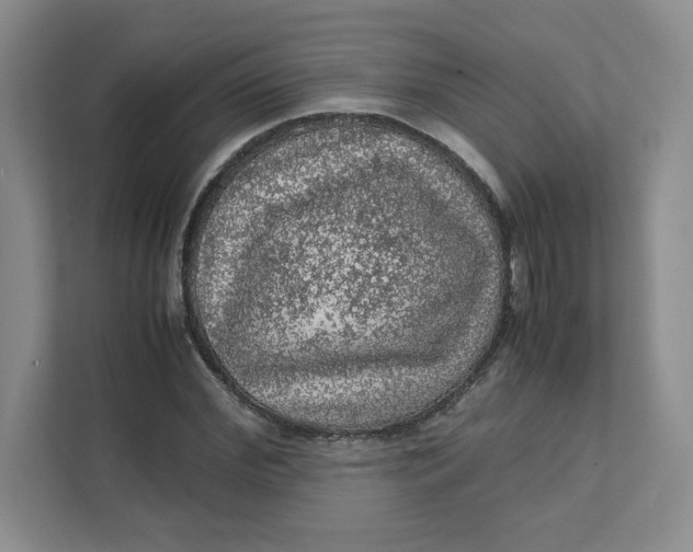 X0000111470972200908031356