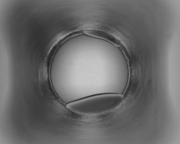 X0000111470973200908031356