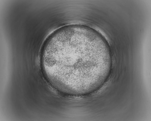 X0000111470975200908031356