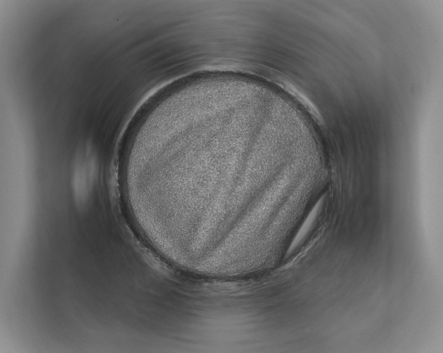 X0000111470976200908031356