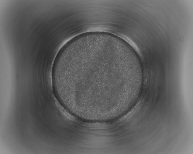 X0000111470980200908031356