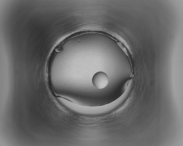 X0000111470981200908031356