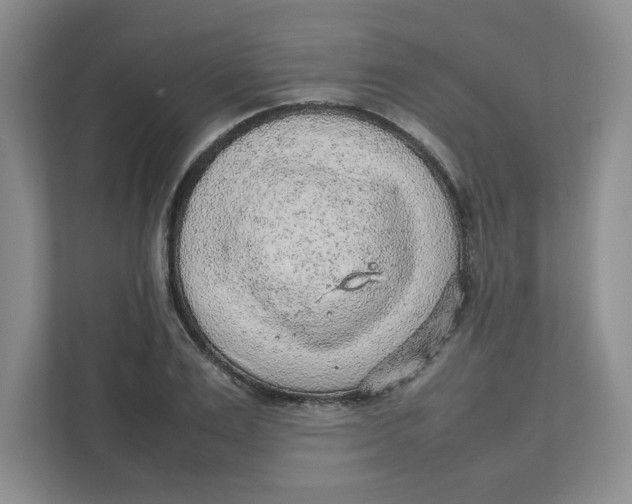 X0000111470983200908031356