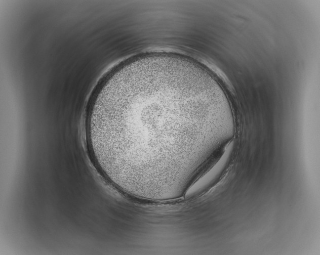 X0000111470984200908031356