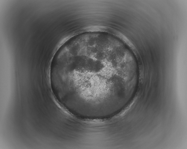 X0000111470986200908031356