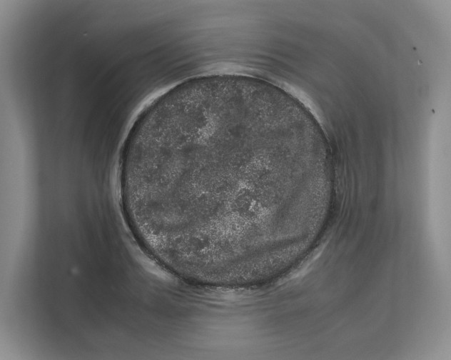 X0000111470987200908031356