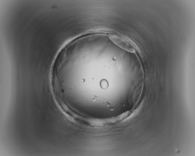 X0000111470989200908031356