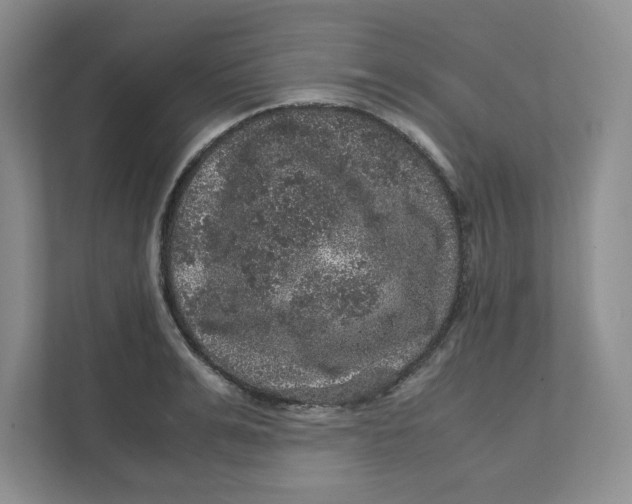 X0000111470991200908031356