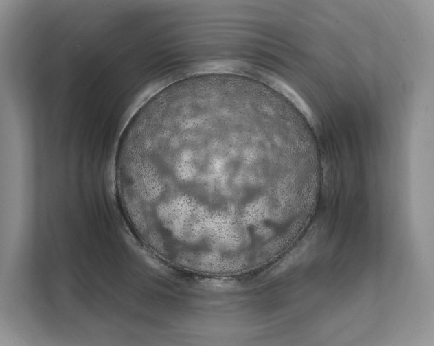 X0000111470994200908031356