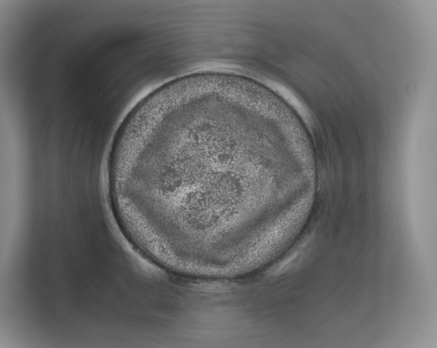 X0000111470999200908031356