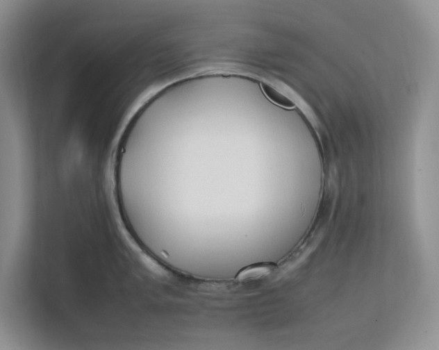 X0000111471005200908031356