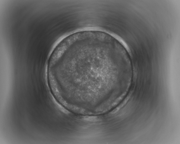 X0000111471006200908031356