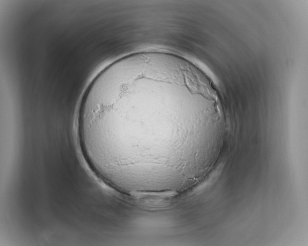 X0000111471007200908031356